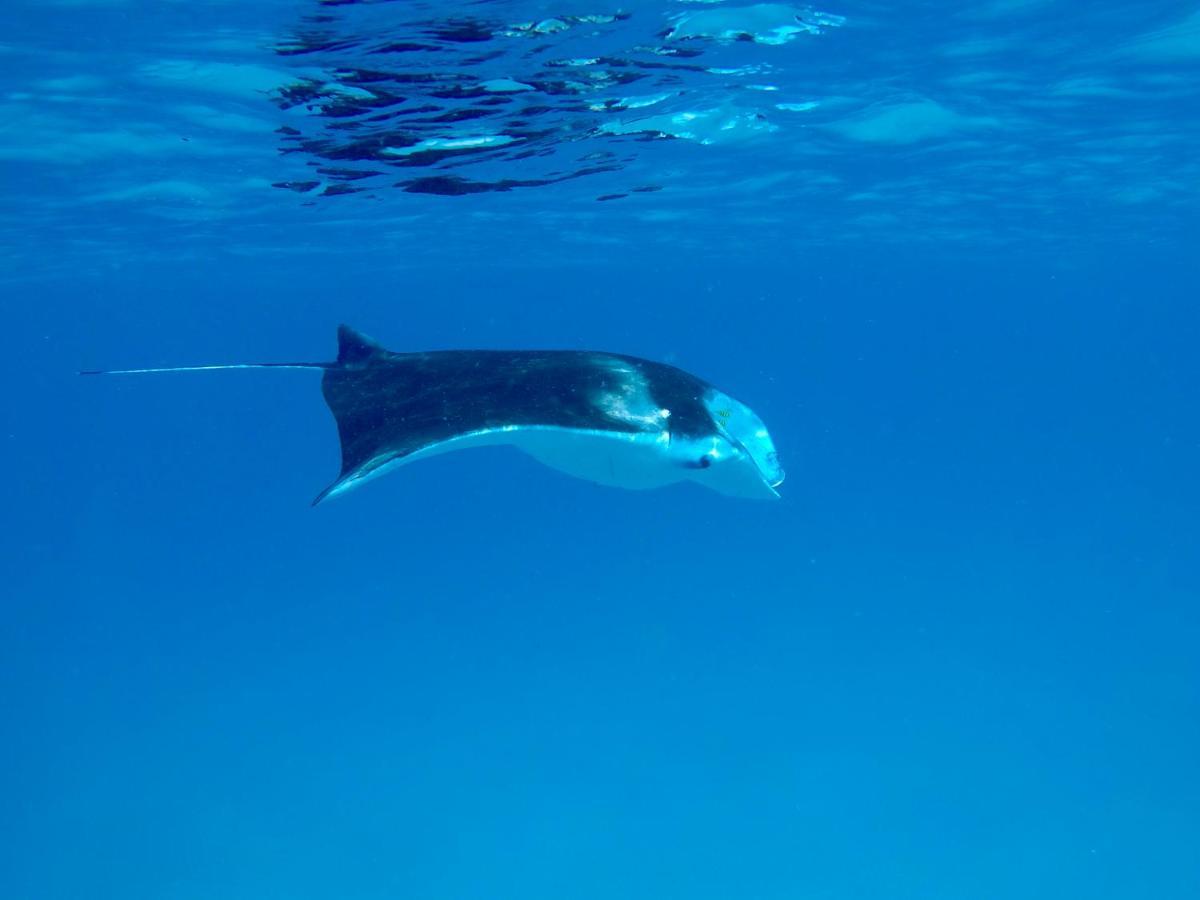 Atoll Residence ธานเกติ ภายนอก รูปภาพ